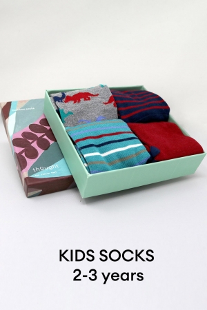 KIDS Dinosaur 4 Bamboo Organic Cotton Socks Box