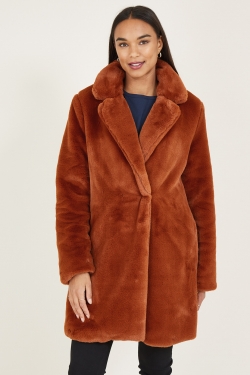 Faux Fur Coat in Brown